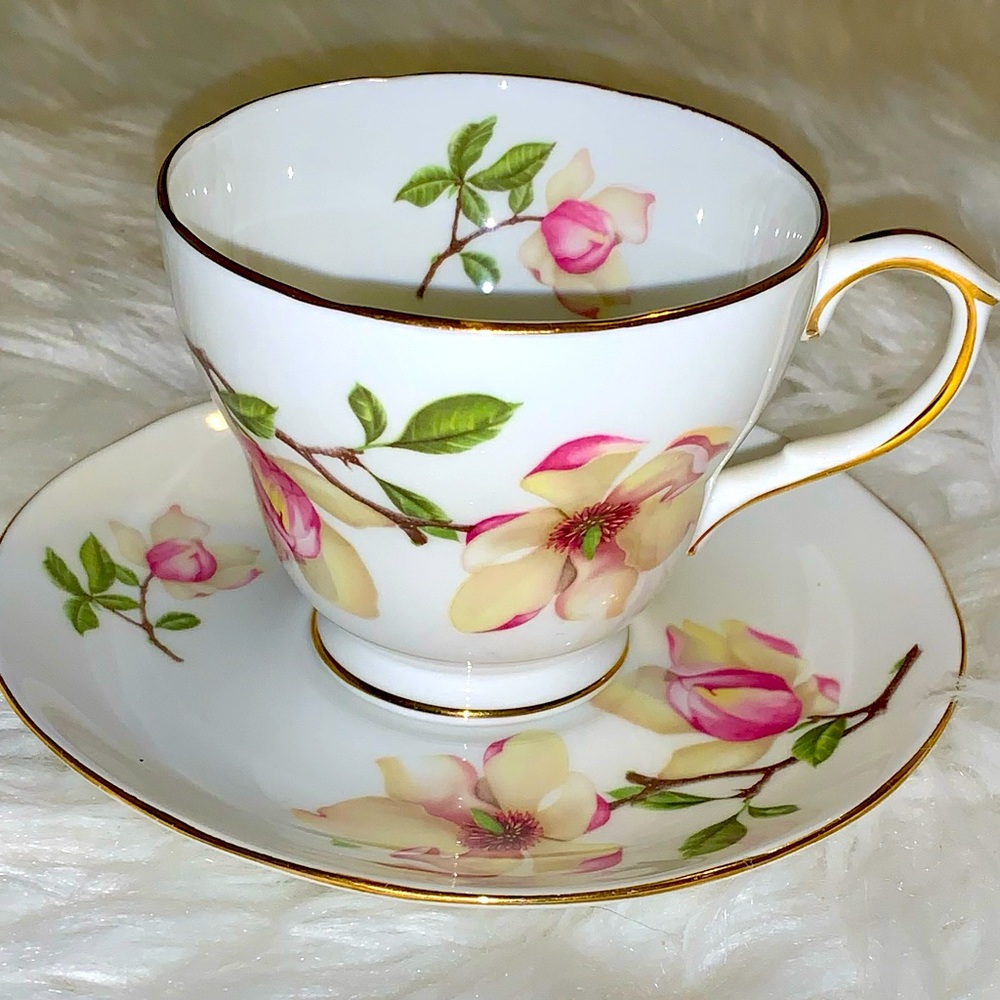 Royal Winchester Fine Bone China Tea Cup & Saucer Magnolia Wieseneri Flower UK